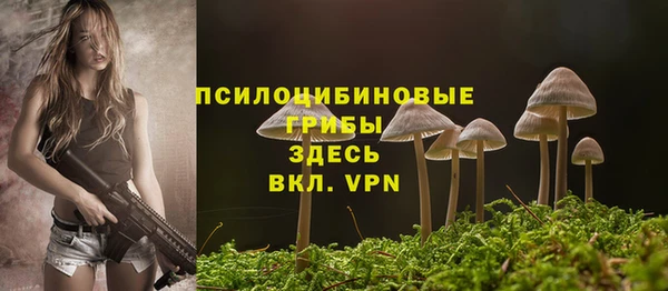 ешки Арсеньев